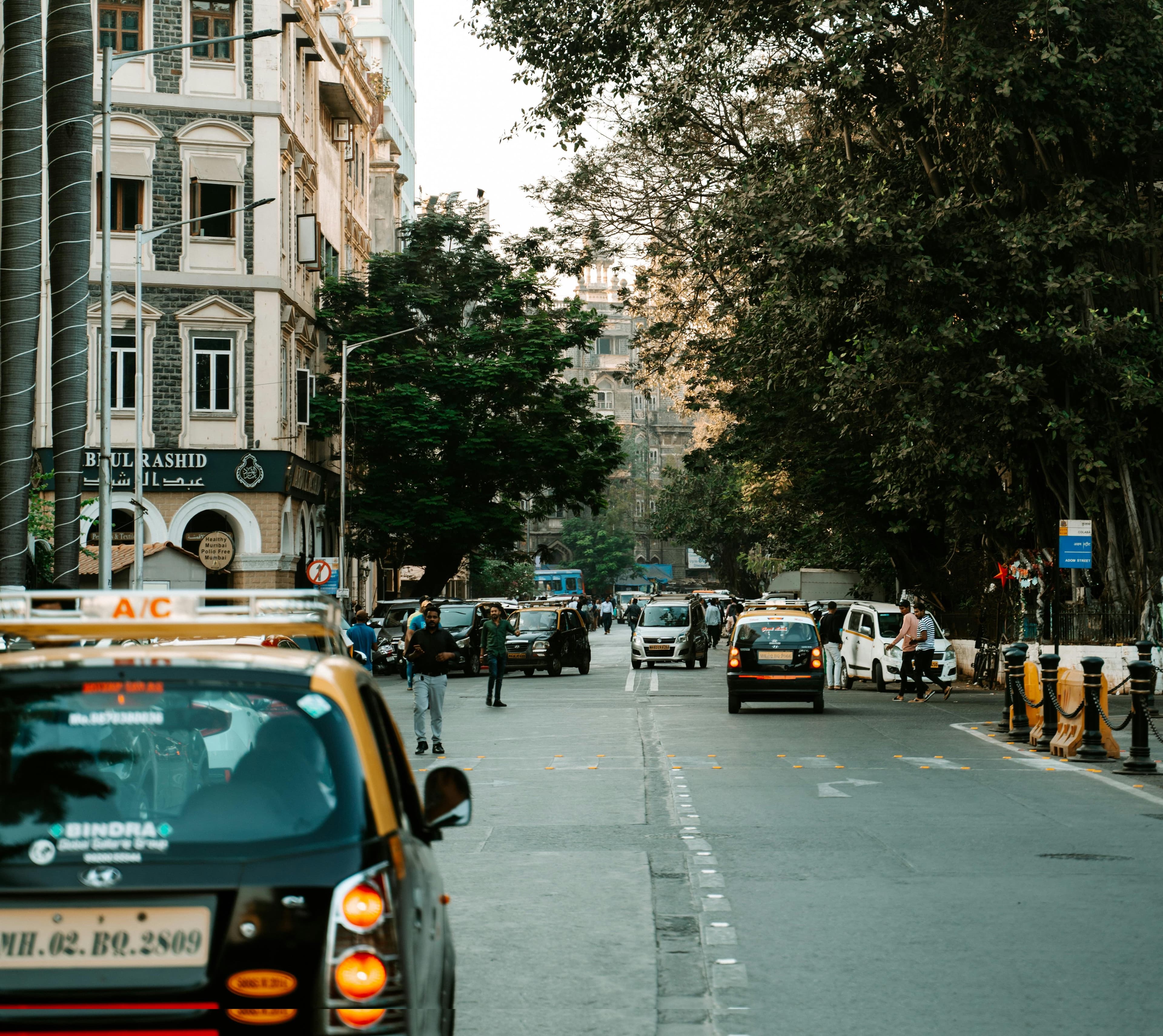 Plush design aesthetic